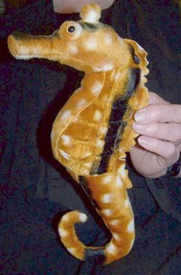 Seahorse Fin